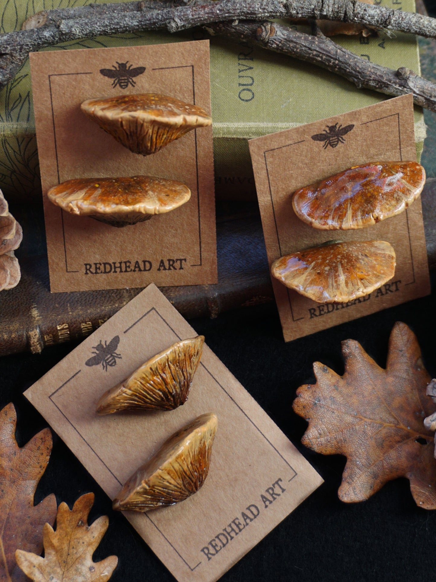 Pin's champignons forestiers : Polypore