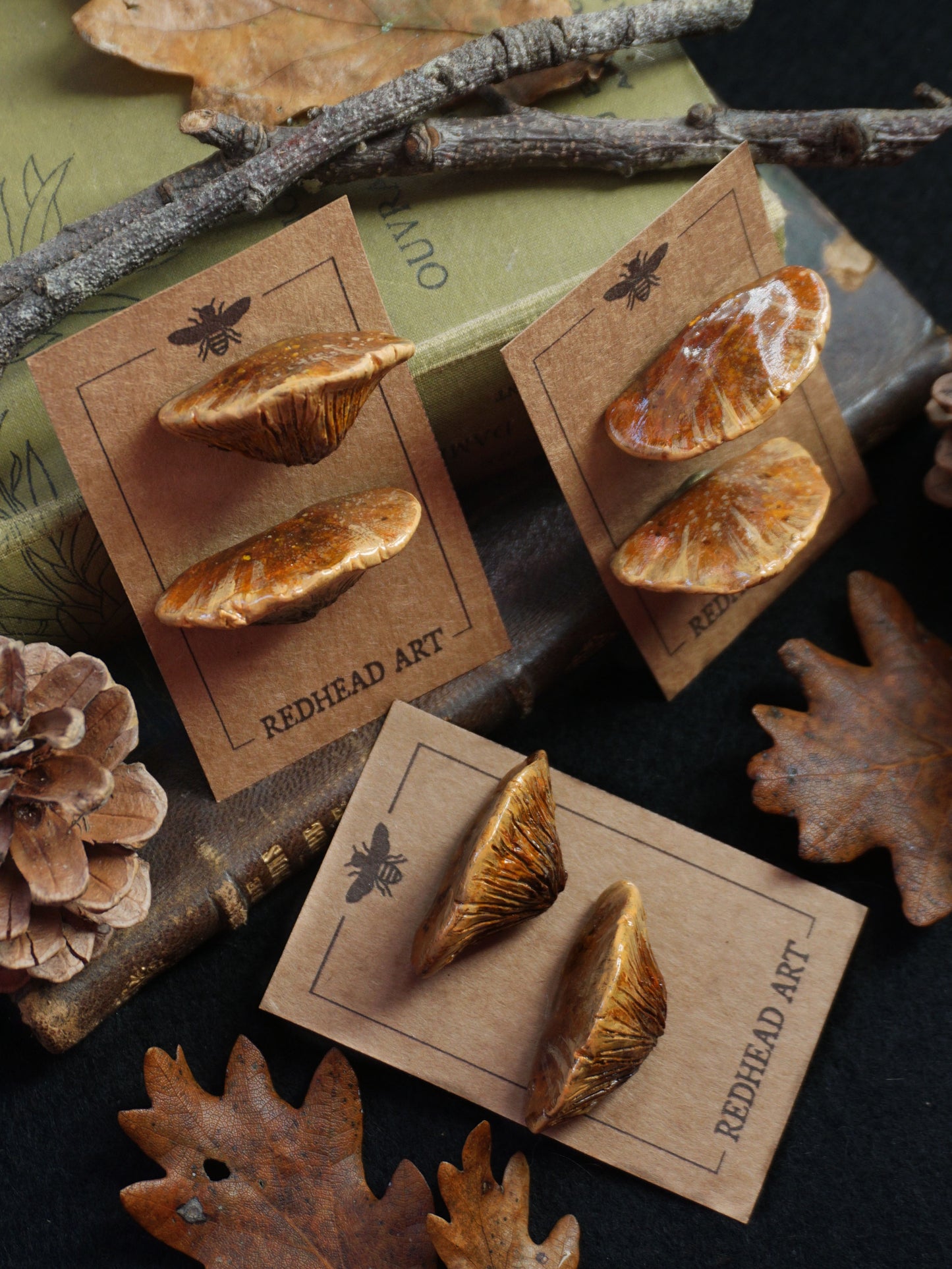Pin's champignons forestiers : Polypore