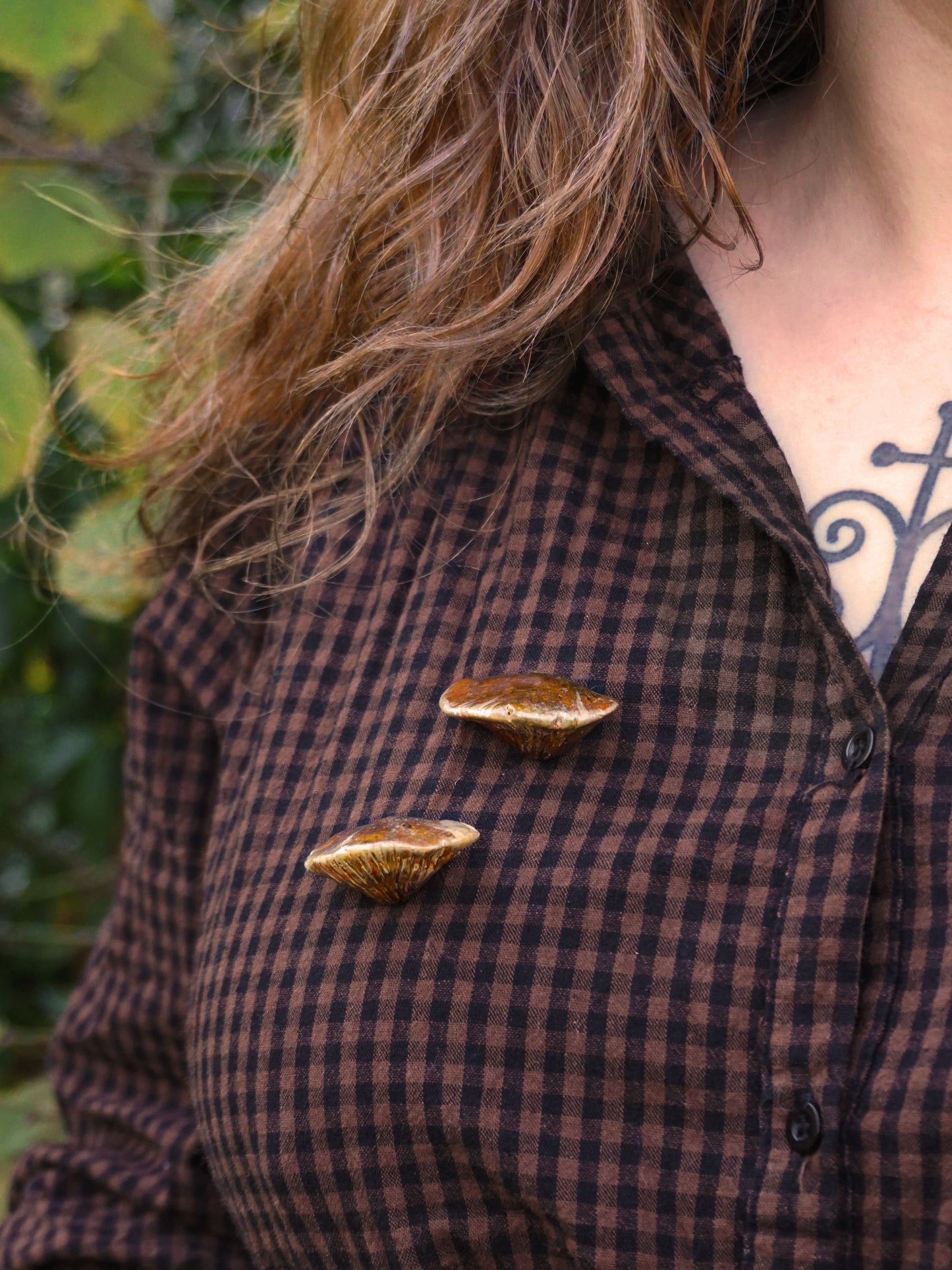 Pin's champignons forestiers : Polypore